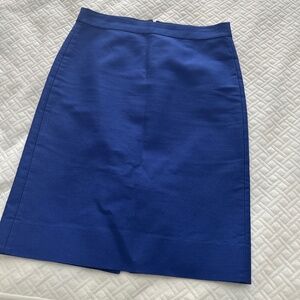 J. Crew skirt